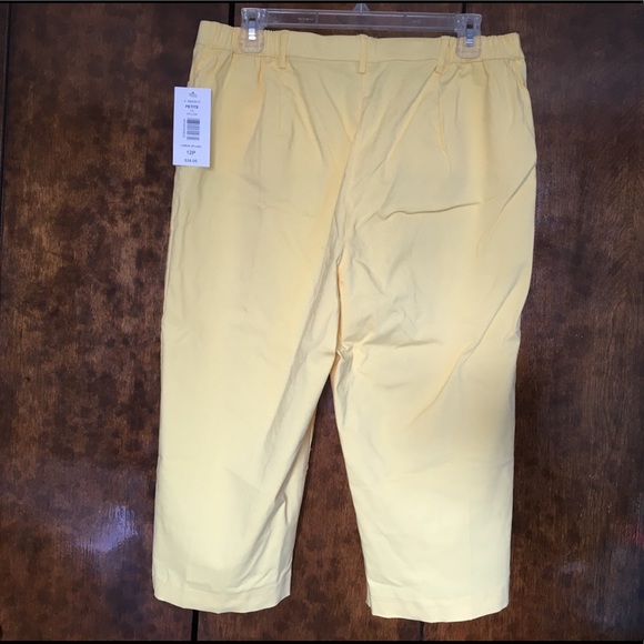 Allison Daley capry - Picture 3 of 6